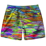 Distorted Shorts