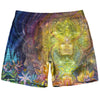 Visionary Shorts