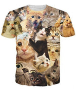 Surprised Cats T-Shirt