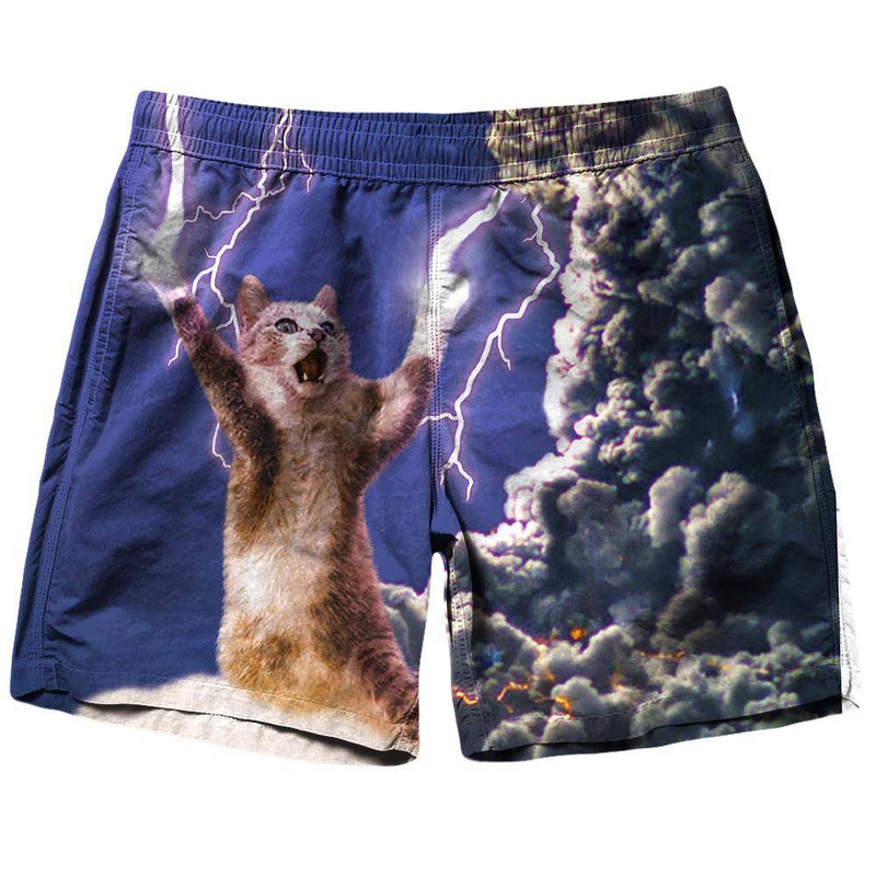 cat Shorts